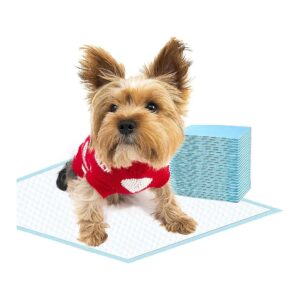 Training Pads for Small Dogs with Compact Size and Blue Color