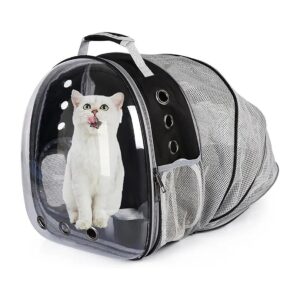 Transparent Capacious Pet Backpack for Large Cats Hiking Outdoor with Adjustable Straps