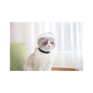 Transparent Pet Cat Astronaut Muzzle Mask for Small Breeds with Adjustable Strap