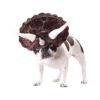 Triceratops Themed Dog Costumes for Medium Breed Dogs in Burgundy Color