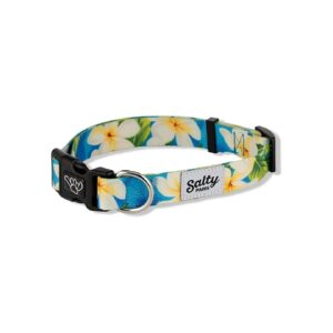 Tropical Blue Floral Adjustable Dog Collar for Small Dogs up to 25 lbs