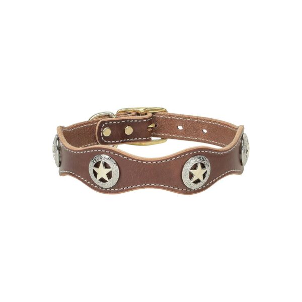 Trustworthy Leather Collar with Brass Closure and Gold Star