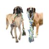 Tug of War Dog Toys for Medium to Large Dogs 2 Pack Heavy Duty Rope Chew Toy