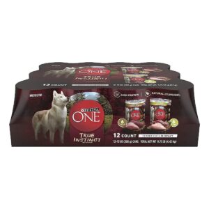 Turkey and Chicken Flavored Wet Dog Food with Real Meat Protein for Healthy Adult Canines