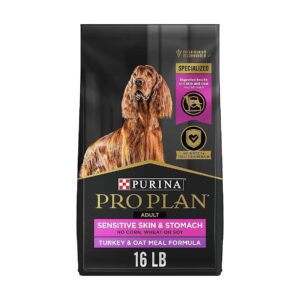 Turkey and Oat Meal High Protein Wet Dog Food for Sensitive Skin and Stomach