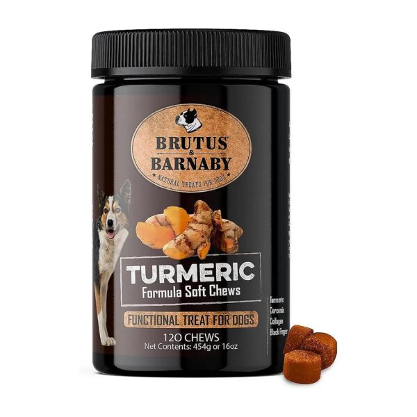 Turmeric and Curcumin for Natural Arthritis Relief in Dogs