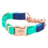 Turquoise-Blue No-Pull Collar for Dogs with Quick-Release Buckle and Adjustable Chain