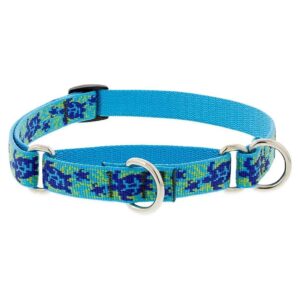 Turquoise Martingale Collar for Small Dogs 10-14