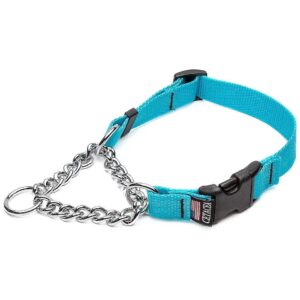 Turquoise Martingale Dog Collar with Quick Release Buckle X-Small Adjustable Chain