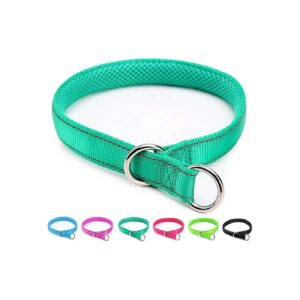 Turquoise Nylon Choke Collar with Adjustable Slip-On Design for Medium-Sized Dogs