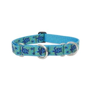 Turtle Reef Martingale Collar for Medium to Larger Dogs, Nylon, 1 Inch Wide