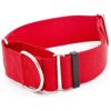 Two Inch Heavy Duty Red Nylon Martingale Dog Collar for Large Breeds