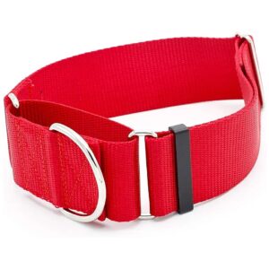 Two Inch Heavy Duty Red Nylon Martingale Dog Collar for Large Breeds