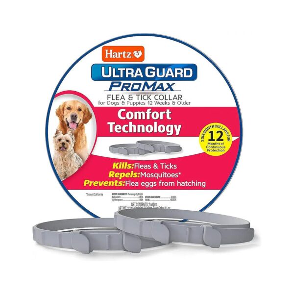 Two-Piece Flea and Tick Prevention for Dogs with 12 Months of Protection