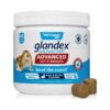 USA-Made Soft Chews with Digestive Enzymes and Probiotics for Dog Anal Gland Health