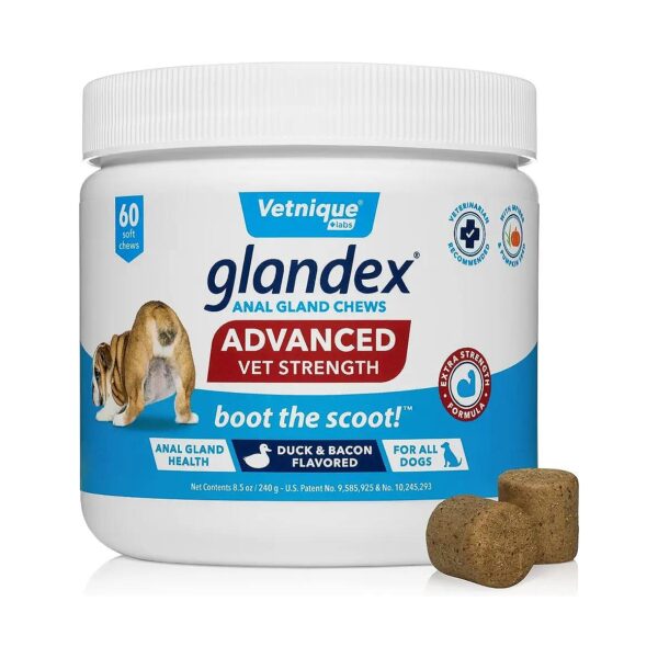 USA-Made Soft Chews with Digestive Enzymes and Probiotics for Dog Anal Gland Health