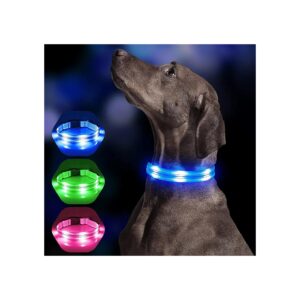 USB Rechargeable LED Dog Collar with Bright Glow for Night Walking Medium Size Dogs