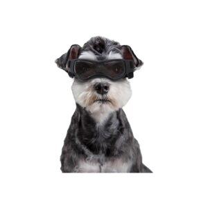 UV Eye Protection for Medium Dogs, Pet Sunglasses for Chihuahua, Poodles, and More, Black