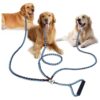 Ultimate 3 Way Dog Leash for Three Medium Large Dogs with Rugged Nylon Material