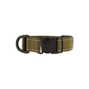 Ultra-Durable Green Dog Collar with Metal hardware and Adjustable Fit