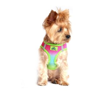 Ultra Lightweight Reflective Mesh Harness for Small Dogs with Rainbow Colors