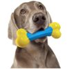 Ultra-Tough Food-Grade Nylon Dog Chew Toys for Aggressive Chewers with Beef Flavor