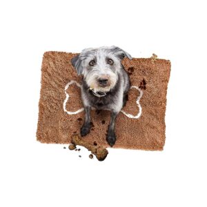 Ultra-absorbent Dog Mat with Cute Bone Design for Drying and Sleeping