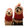 Unique Crocheted Dog Hat with Pompon for Cold Winter Days and Christmas Occasions