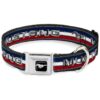 Unique Dog Collar Design Featuring Seatbelt Buckle and Mustang Text