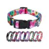 Unique Floral Pattern Dog Collar for Girl and Boy Dogs in Size Small