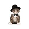 Unique Formal Pet Costume - Adjustable Pet Bow Tie and Top Hat for Cats Dogs Puppies