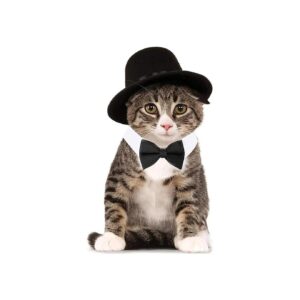 Unique Formal Pet Costume - Adjustable Pet Bow Tie and Top Hat for Cats Dogs Puppies