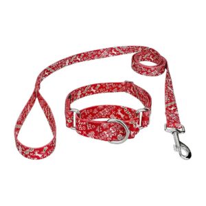 Unique Ho Ho Ho Holiday Dog Collar and Leash Set