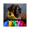 Unique Nylon Material Glowing Dog Collar with Three Lighting Modes for Large Dogs