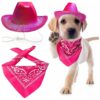 Unique Pet Costume with Glittering Space Cowboy Hat and Bandana for Cats and Dogs