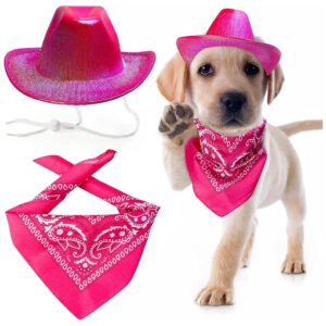 Unique Pet Costume with Glittering Space Cowboy Hat and Bandana for Cats and Dogs