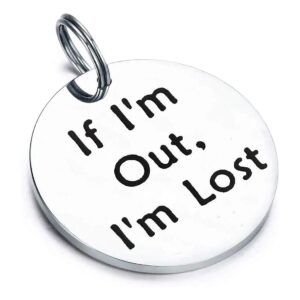 Unique Pet ID Tag Design with Engraved Safety Message for Lost Prevention