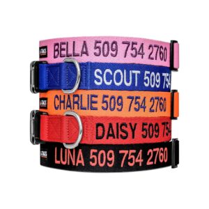 Unique Pet Identification with Customized Dog Collars and Custom Embroidery