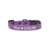 Unique Purple Medium Dog Collar with Customizable Text and Icons