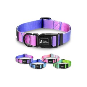 Unique Purple Mood Ombre Dog Collar with Comfortable, Durable Nylon and Washable