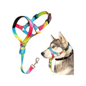 Unique Rainbow Dog Halter, Soft Padded Design, Enhanced Visibility for Safety