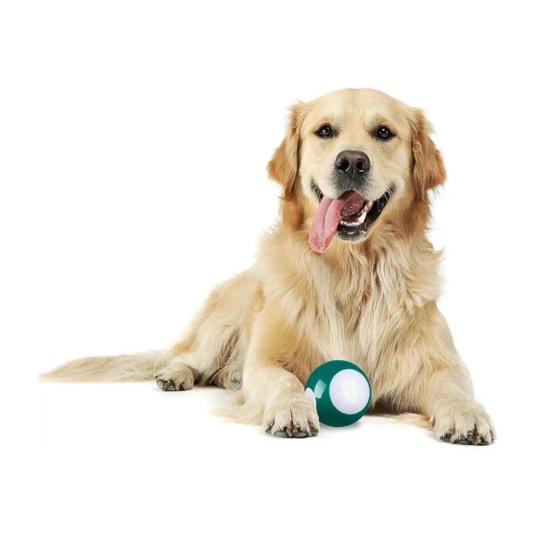 Unique Rotating LED Light Pet Ball with Automatic Rolling for Dogs