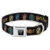 Unique Seatbelt Buckle Dog Collar for Harry Potter Enthusiasts 15 to 24 Inches Wide