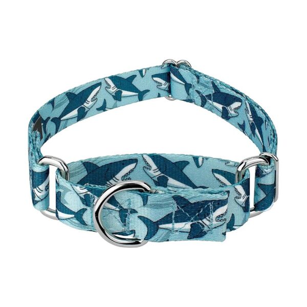 Unique Sharks Pattern Dog Collar, 1 Inch, Medium, 15-21 inch Neck