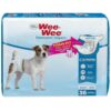 Unique Small Dog Diapers for Small but Mighty Canines