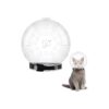 Unique Transparent Cat Space Helmet for Grooming, Nail Clipping, and Trimming