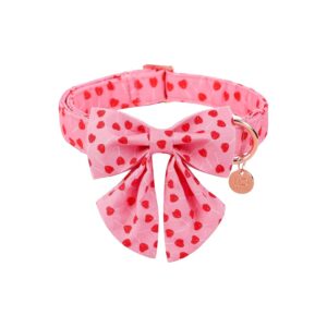 Unique Valentine Collar for Small Dogs and Cats - Red Heart and Metal Buckle