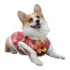 Unique and Traditional Chinese Tang Style Dog Costume Coat for Size XL Dog Breeds