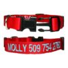 Unique and Versatile Nylon Dog Collars with Adjustable Sizes and Embroidered Names