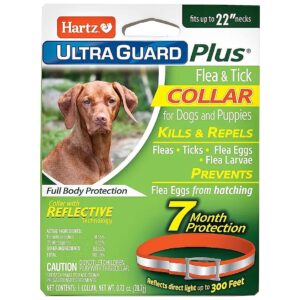 Up to 22 Inch Neck Flea and Tick Protection Collar for Dogs and Puppies